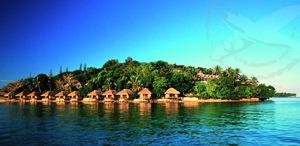 ���������� �������� �� ���� ���������� �� ��������� �� ������� ���� �� ���-������������ ������������ ���������� � �����. 